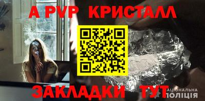 молекула духа Пугачёв