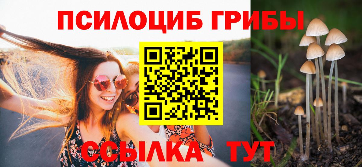 Родники  Галлюциногенные грибы GOLDEN TEACHER  Галлюциногенные грибы Psilocybe  Вход с VPN 
